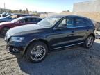 2014 Audi Q5 TDI Premium Plus