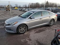 Salvage cars for sale from Copart Chalfont, PA: 2016 Hyundai Sonata SE