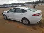 2016 Ford Fusion SE Hybrid