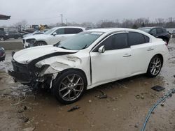 2010 Nissan Maxima S en venta en Louisville, KY