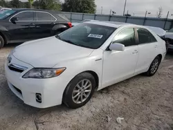 Toyota Vehiculos salvage en venta: 2011 Toyota Camry Hybrid