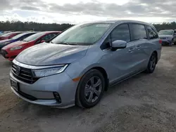 Vehiculos salvage en venta de Copart Harleyville, SC: 2023 Honda Odyssey EX