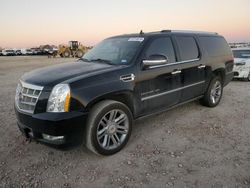 Cadillac Vehiculos salvage en venta: 2013 Cadillac Escalade ESV Platinum