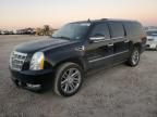 2013 Cadillac Escalade ESV Platinum