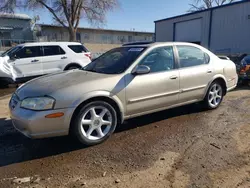 2001 Nissan Maxima GXE en venta en Albuquerque, NM