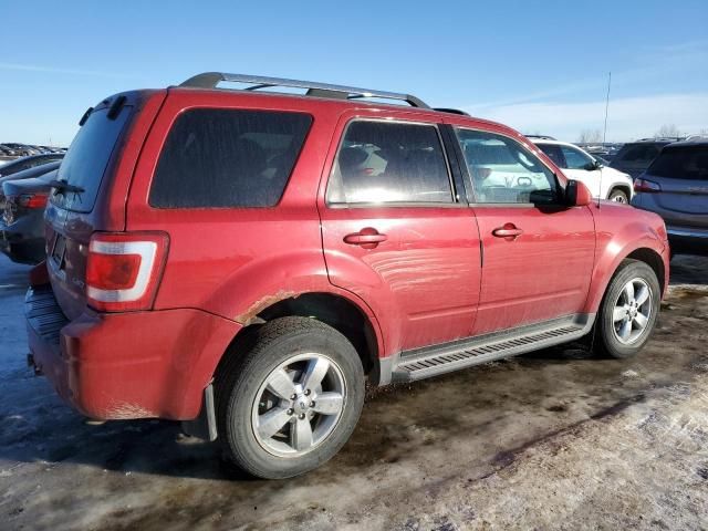 2009 Ford Escape Limited