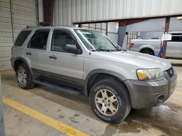 2005 Ford Escape XLT