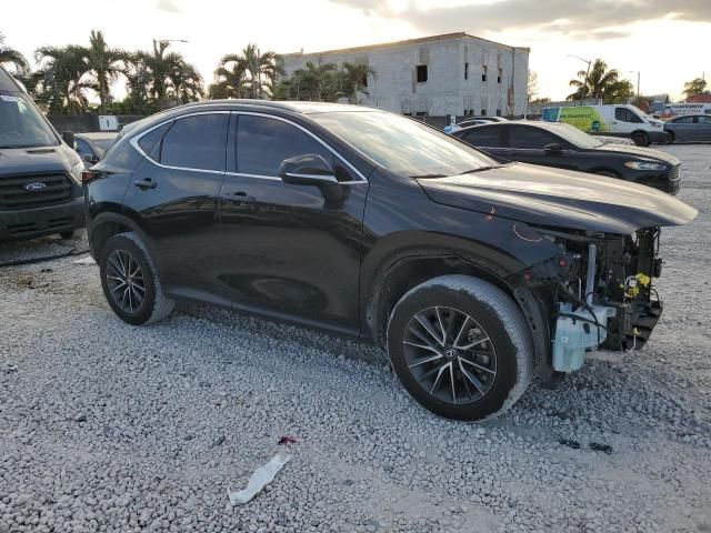 2024 Lexus NX 250 Base