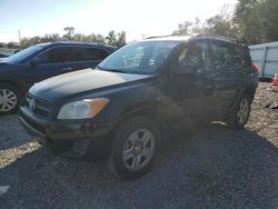 Salvage cars for sale at Riverview, FL auction: 2012 Toyota Rav4