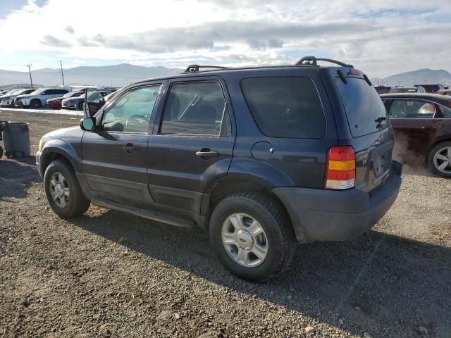 2004 Ford Escape XLT