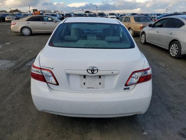 2009 Toyota Camry Hybrid