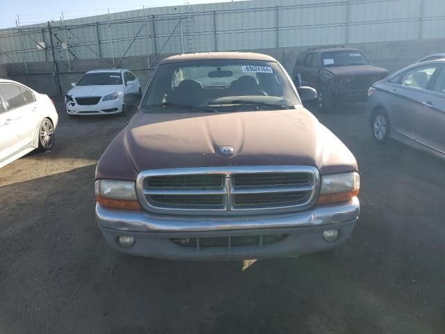 2000 Dodge Dakota Quattro