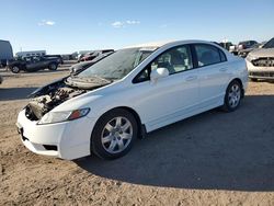 Honda Civic salvage cars for sale: 2011 Honda Civic LX