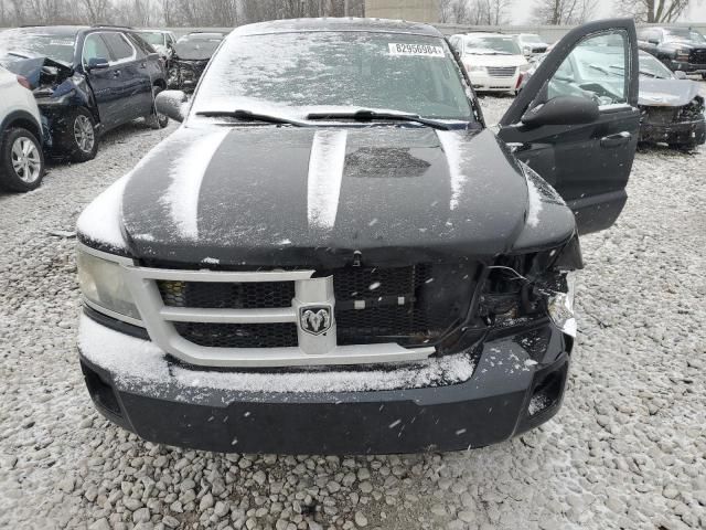 2011 Dodge Dakota SLT