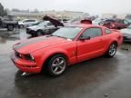 2006 Ford Mustang