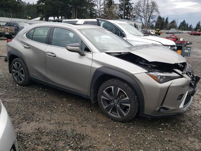 2021 Lexus UX 250H