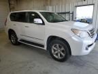 2012 Lexus GX 460 Premium