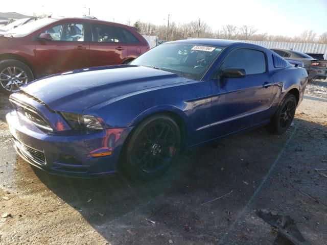 2014 Ford Mustang