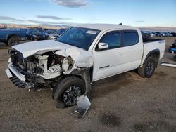 Salvage cars for sale at Helena, MT auction: 2023 Toyota Tacoma Double Cab