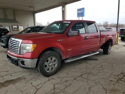 Salvage cars for sale at Fort Wayne, IN auction: 2011 Ford F150 Supercrew