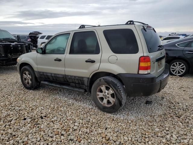 2006 Ford Escape XLT