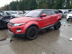 Salvage cars for sale at Arlington, WA auction: 2014 Land Rover Range Rover Evoque Pure Plus