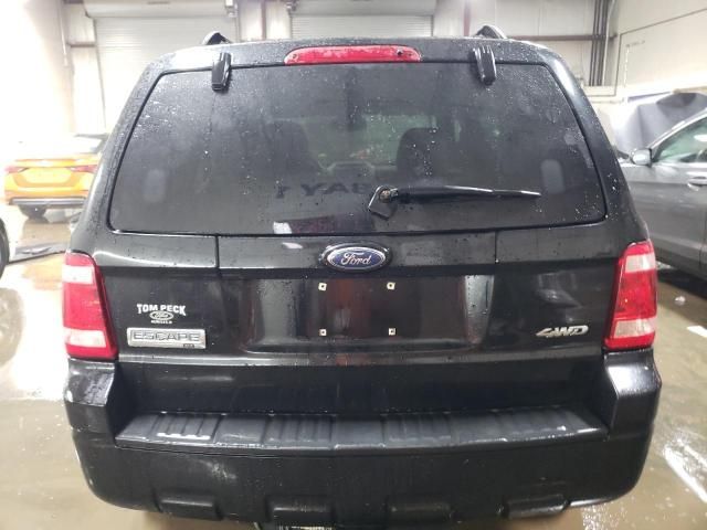 2008 Ford Escape XLT