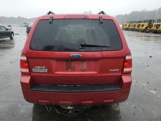 2008 Ford Escape XLT