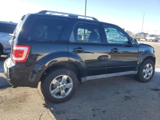 2010 Ford Escape Limited