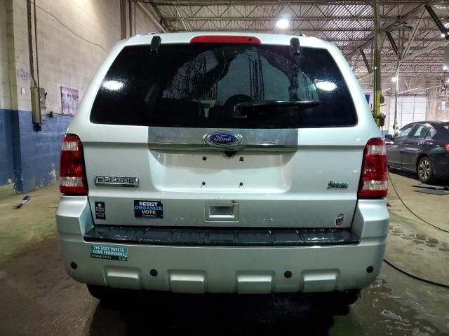 2010 Ford Escape Limited