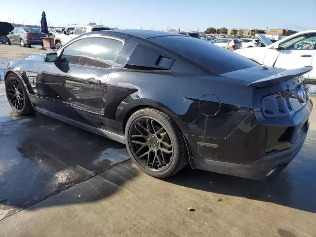 2010 Ford Mustang Shelby GT500