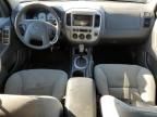 2006 Ford Escape XLT