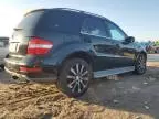 2010 Mercedes-Benz ML 350