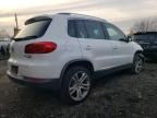 2013 Volkswagen Tiguan S