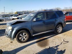 Salvage cars for sale at Louisville, KY auction: 2011 Ford Escape Limited