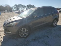 Salvage cars for sale at Loganville, GA auction: 2014 Ford Escape Titanium