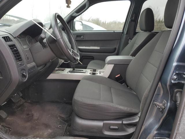 2010 Ford Escape XLT