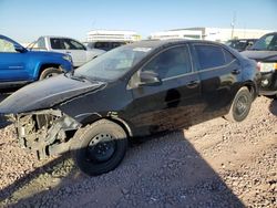 Salvage cars for sale at Phoenix, AZ auction: 2014 Toyota Corolla L