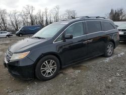 Honda Odyssey exl Vehiculos salvage en venta: 2012 Honda Odyssey EXL