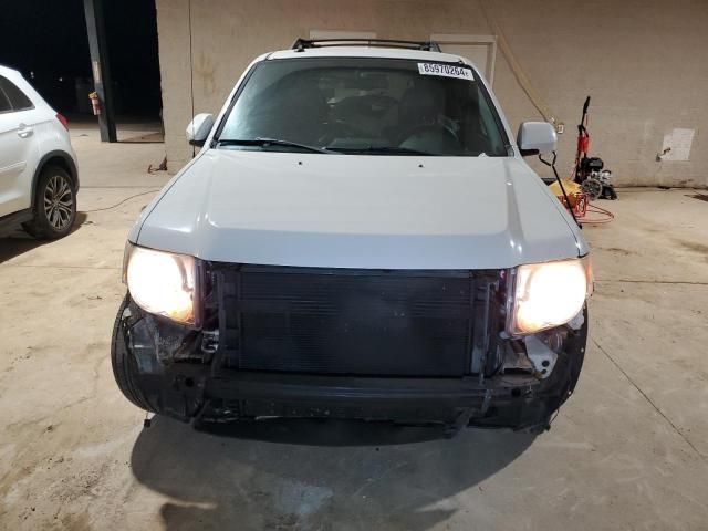 2009 Ford Escape Limited