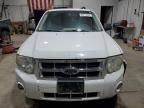 2008 Ford Escape HEV