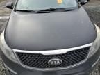 2016 KIA Sportage EX