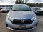 2023 Honda Odyssey EX