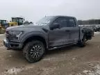 2019 Ford F150 Raptor