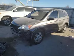 Honda salvage cars for sale: 2010 Honda CR-V EXL