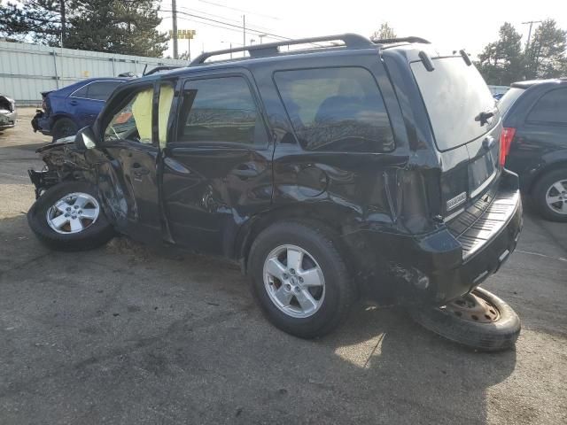 2009 Ford Escape XLT