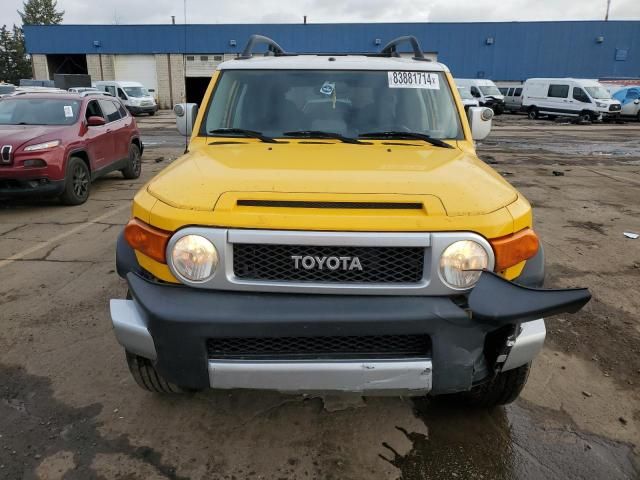 2007 Toyota FJ Cruiser