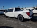 2024 Ford F150 Platinum