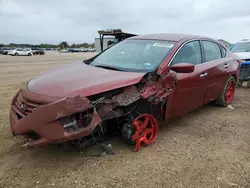 Salvage cars for sale at San Antonio, TX auction: 2013 Nissan Altima 2.5