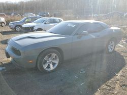 Dodge Challenger salvage cars for sale: 2023 Dodge Challenger SXT